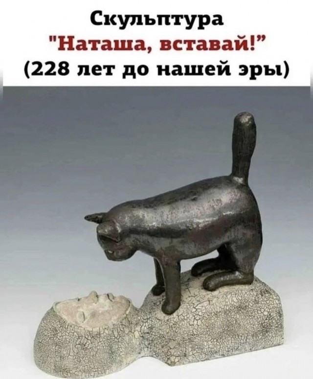 Всемирный день котиков.
