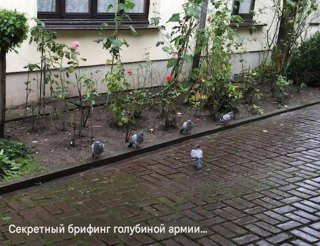 Вы попали на тайное заседание глав теневого правительства