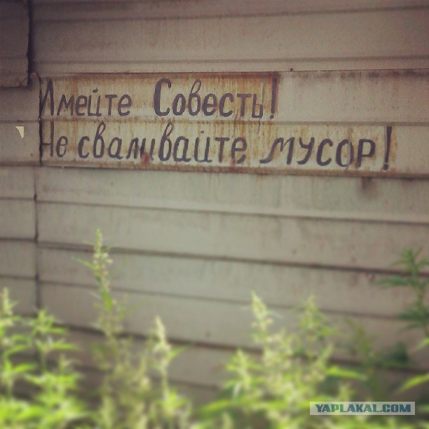 Жемчужина Казахстана! Almaty Tapok Edition