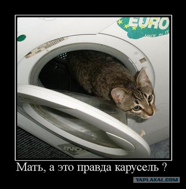 Демотиваторов пост, добавляйте свои