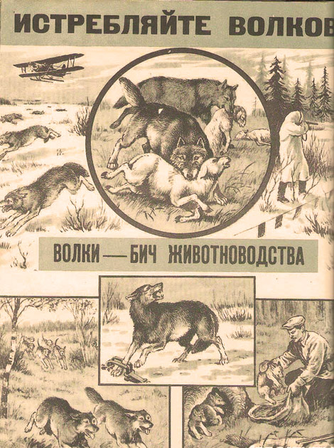 «Ночные волки» встретят 9 мая в Берлине!