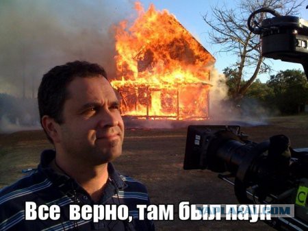 Интересные факты о пауках