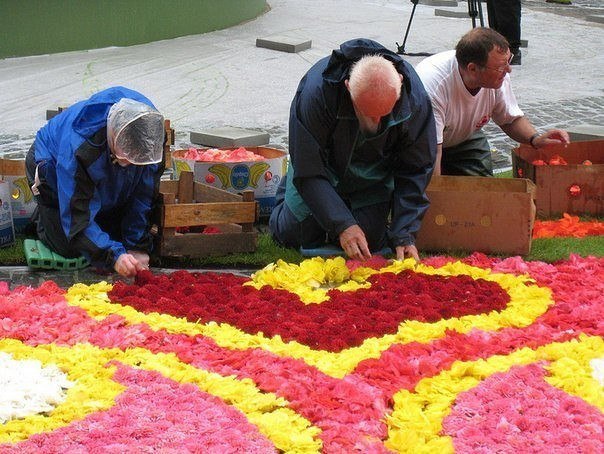 Картинки для отдыха глаз