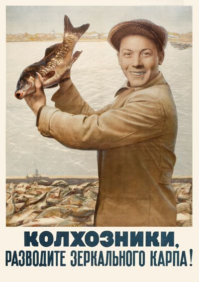 Подборка прикольных плакатов