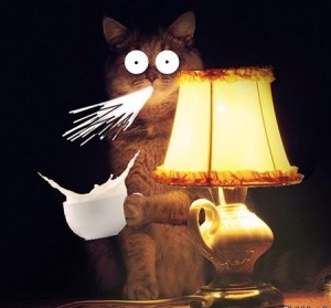 Кот веганов