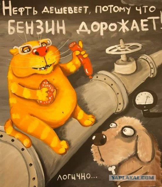 Налоговый манёвр за счёт граждан: цены на бензин растут