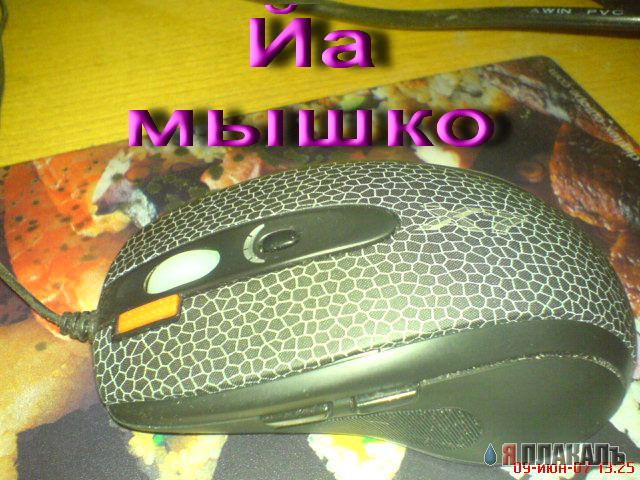 Йа Болванко!