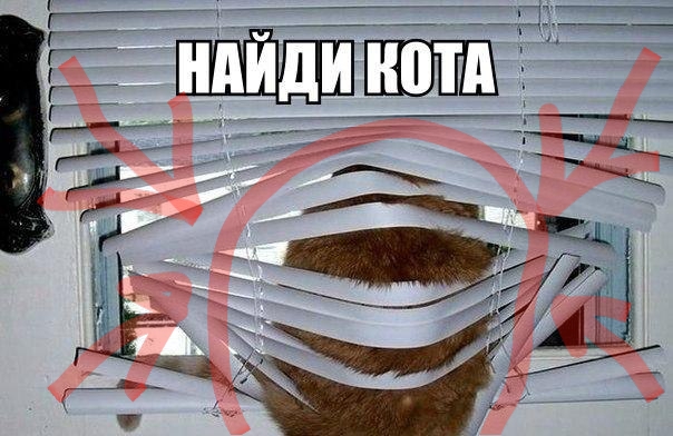 100 картинок для поднятия настроения!