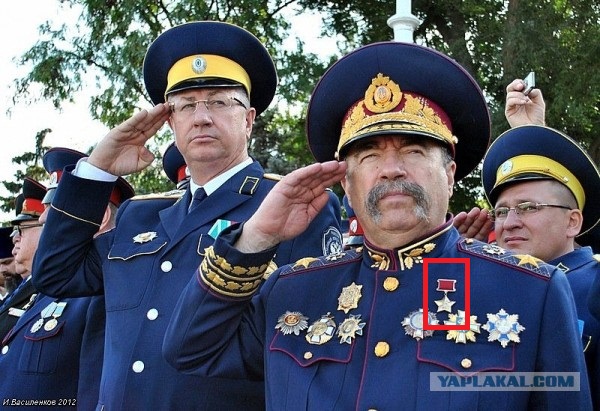 Что вы знаете о понтах?