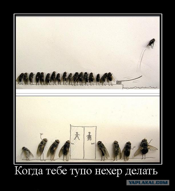 Наливатор - Подарок на днюху