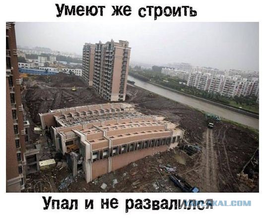 Подборка интересных и веселых картинок