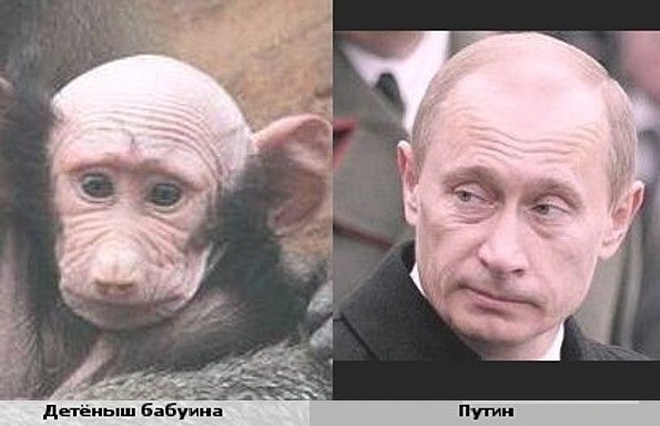 Встреча Владимира Путина в Дагестане