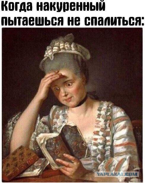 Опять обдолбался, паршивец!?