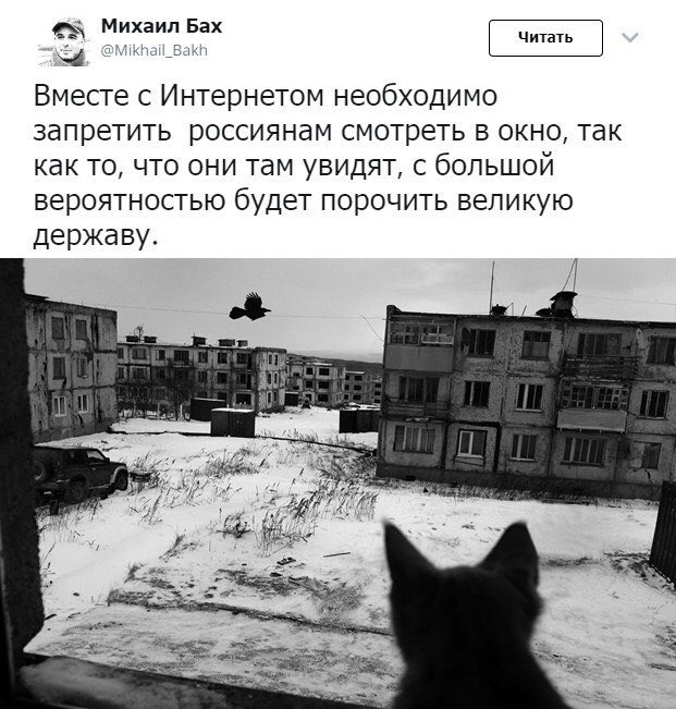 Смешные комментарии из социальных сетей 14.12.2018
