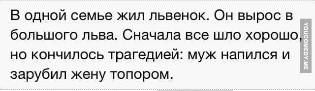 В Южной Африке парень спас львёнка – тот вырос и продолжает платить ему за это дружбой и обнимашками