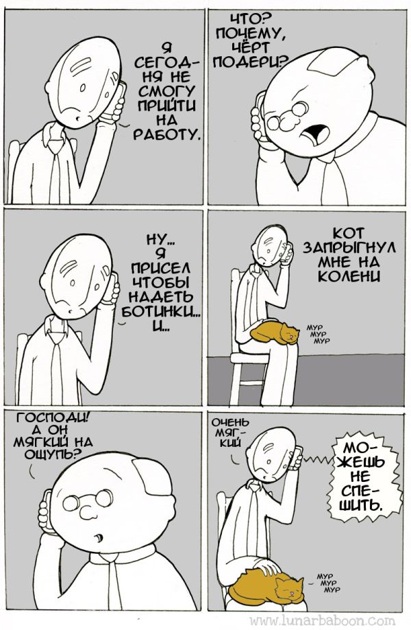 Дурацкие картинки
