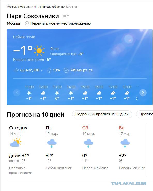 Количество сексуальных партнёров и как это влияет на отношения у людей после 35+