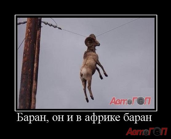 Демки и ностальджи