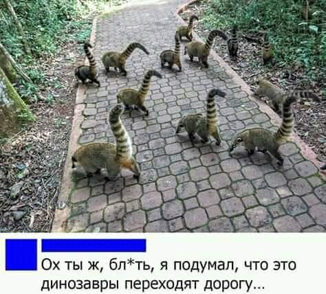 Чуток картинок 11.10.19