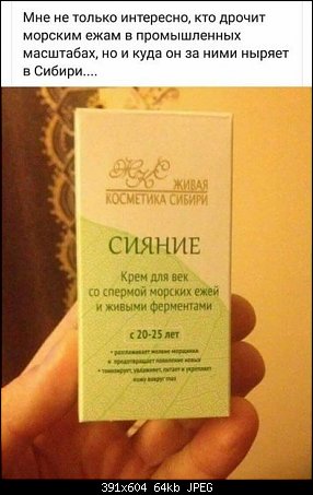 Весёлые картинки