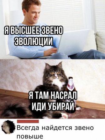 Кошак захватил клавиатуру? Решение проблемы найдено!