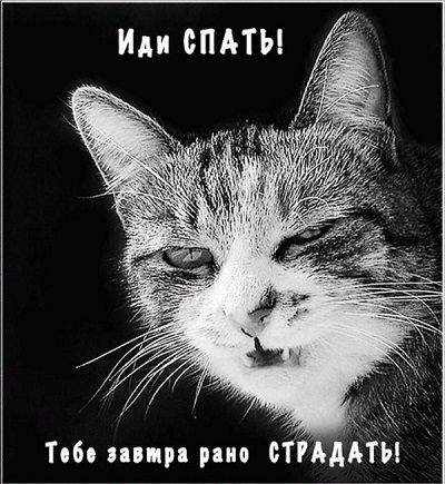 Юмор в картинках 20.07.20
