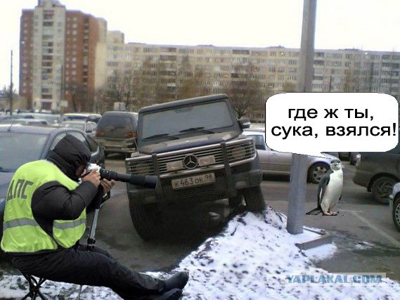 Внимательный фотограф