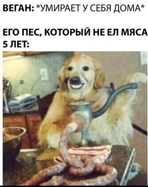 Чернушка 26.12.20