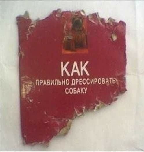 Картинки с надписями и всякие жизненные фразы 17.1.21