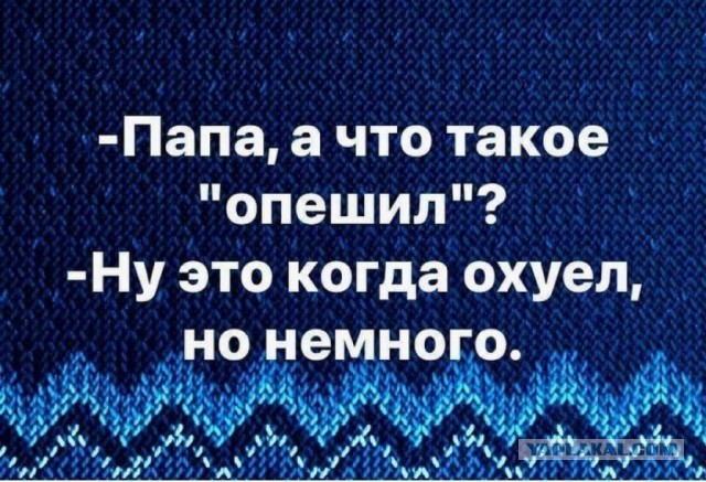 Так себе картинки 05.02.21
