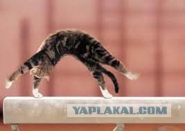 Я пожалуй тут посижу