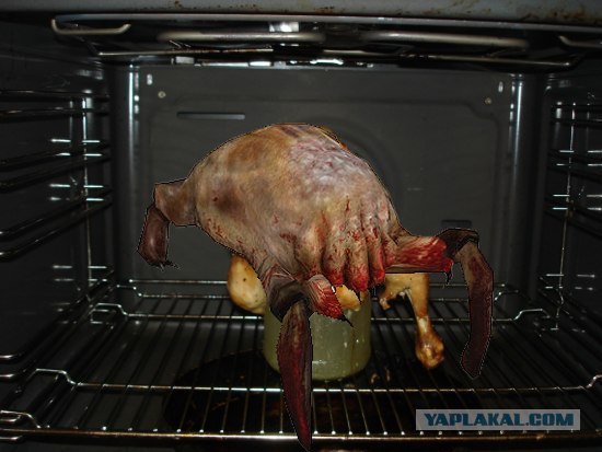 курица на банке