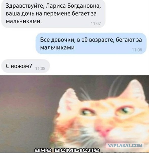 Весёлый полтишок 5.07