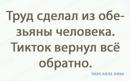 Здравый смысл в тиктоке