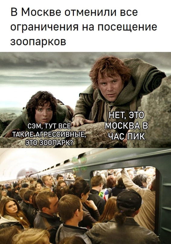 Весёлый полтишок 16.08