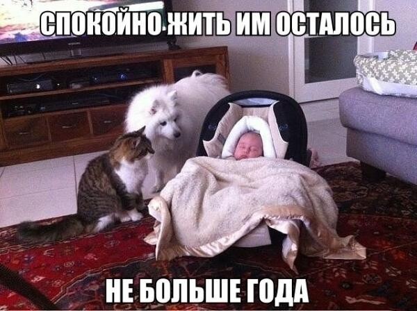 Весёлый полтишок 01.02