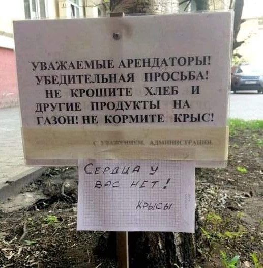 Понедельник. Вечер. Картинки для настроения #2
