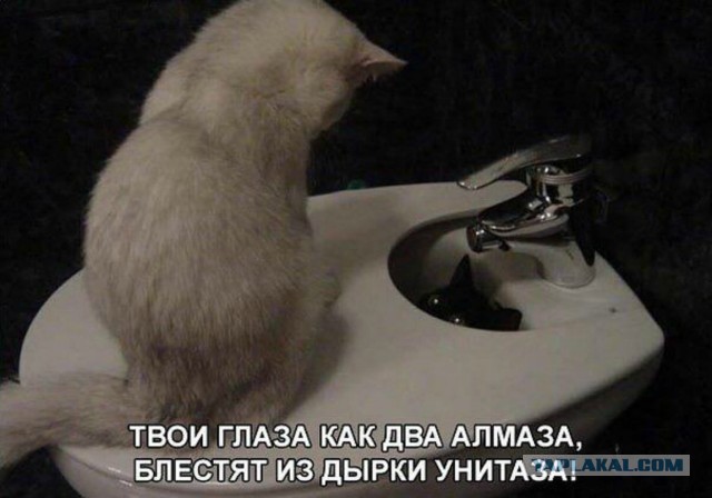 Картинки разные 07.06.22