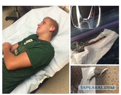 До слёз