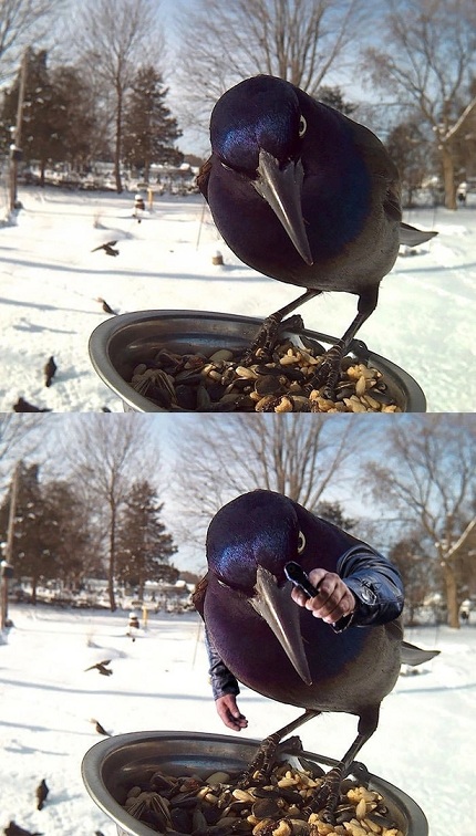 Ну, с богом!
