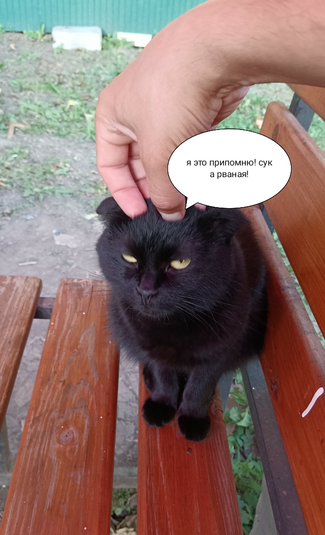 Вернулась