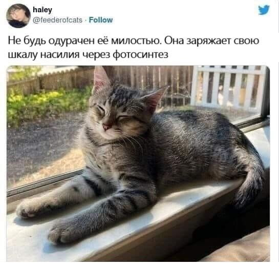 Немного картинок для настроения - 135
