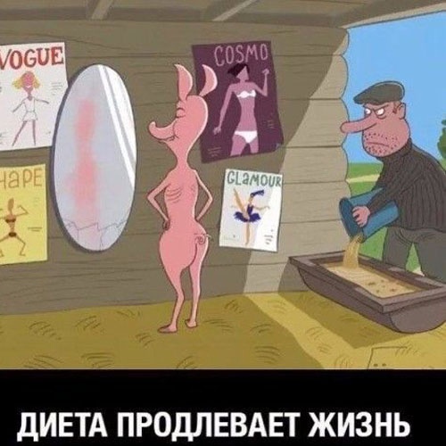 Так себе картинки 02.03.23