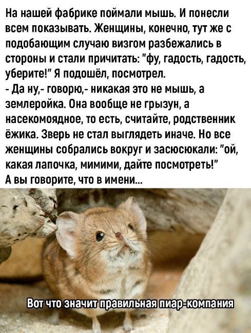 Так себе картинки 11.04.23