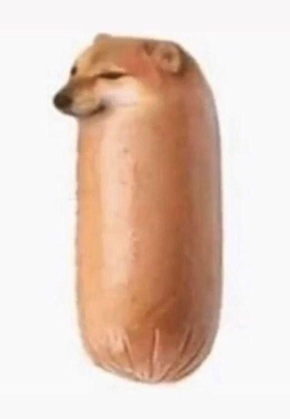 Толстый сфинкс