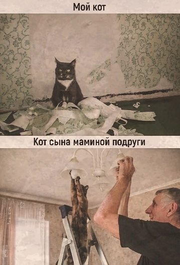 Подборка картинок