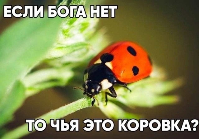 Так себе картинки 12.07.23