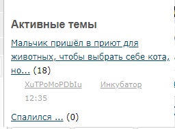 Не ты выбираешь кошку, кошка выбирает тебя