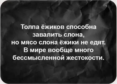 Гоните их как увидите: Почему появление ежа на участке это тревожный сигнал для хозяев?