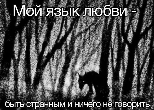 Так себе картинки 15.05.24